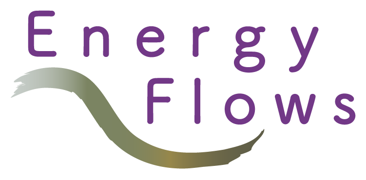 Energy Flows logo