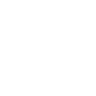 matt hales spotify