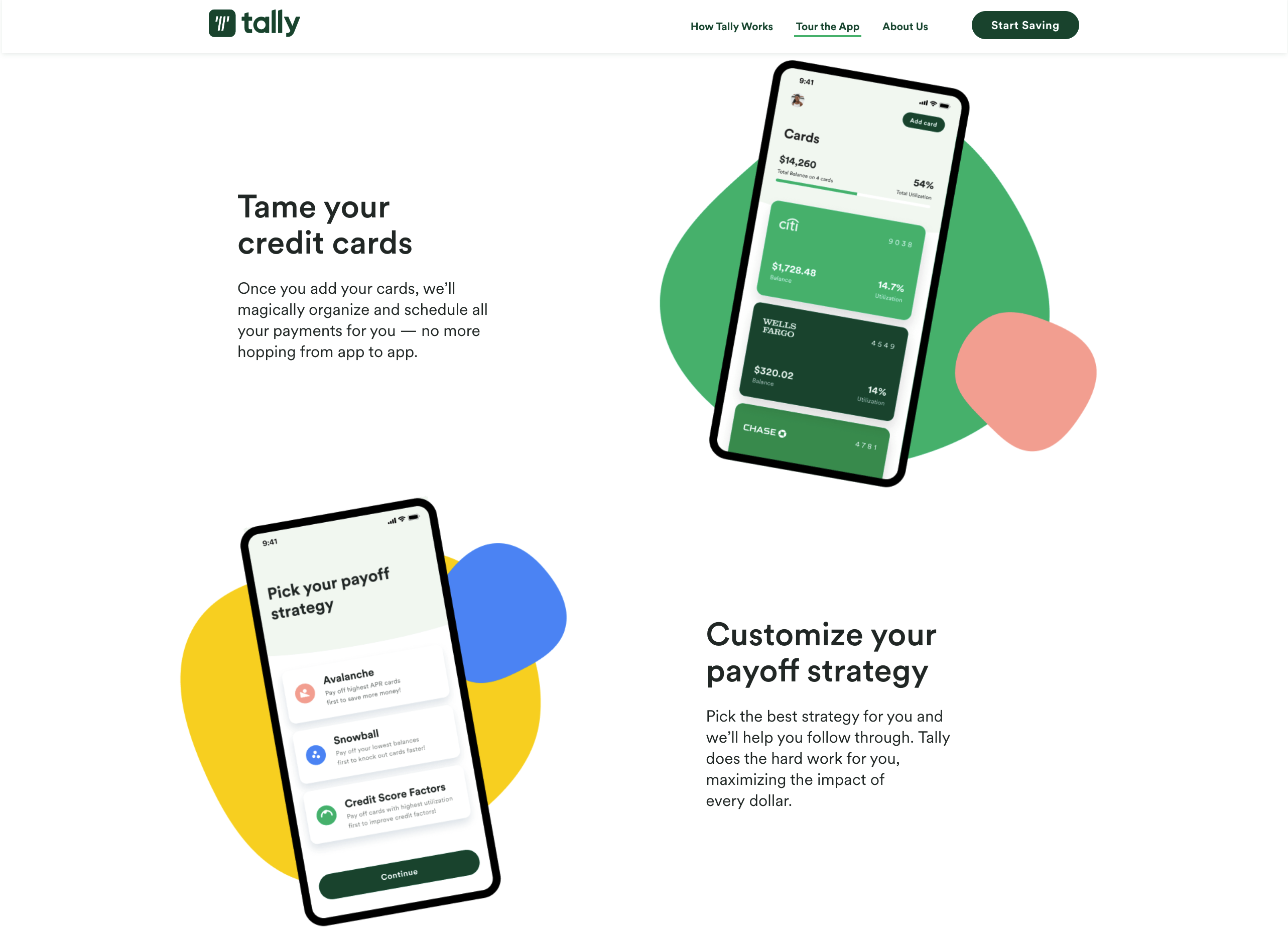 Tally Interface Screenshot 2