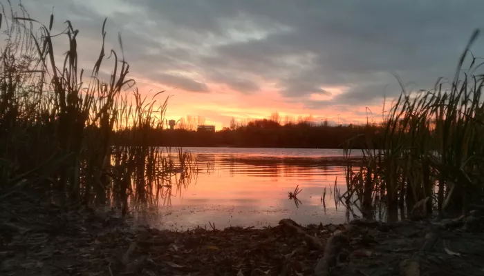 Conningbrook Lakes Country Park
