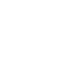 LTX 2 Fast Icon