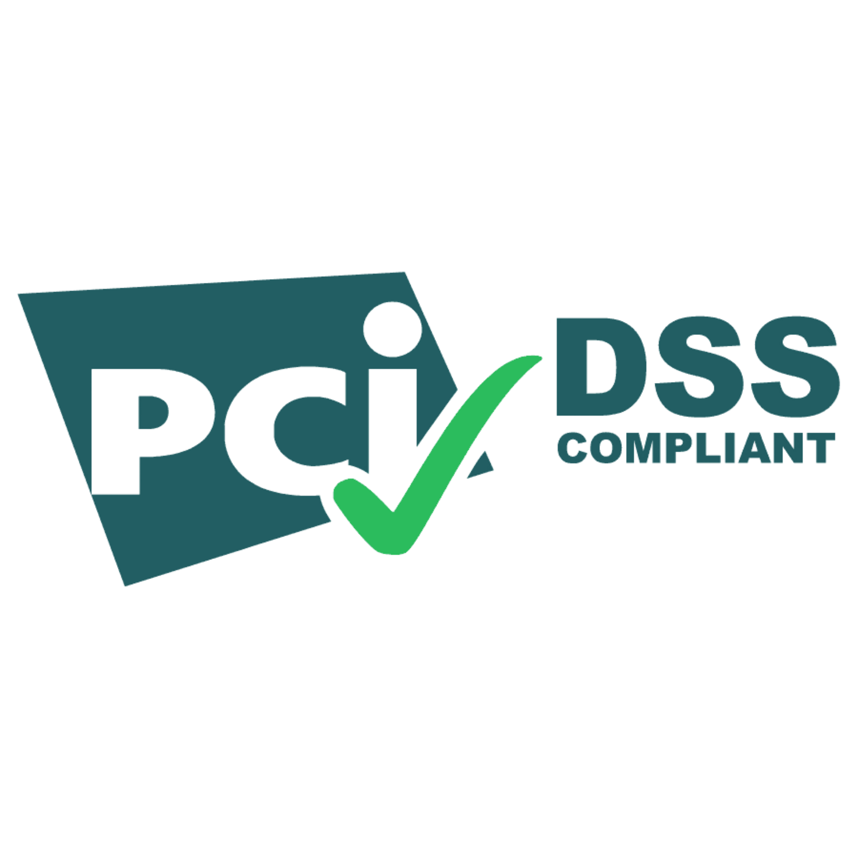 PCI DSS Logo 1