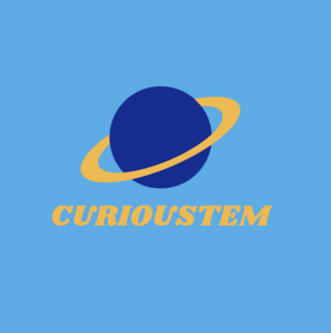 CuriouSTEM - Memory Retention