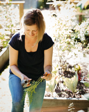 How to Harvest Your Own Seed: Tips for Collecting Flower Seed