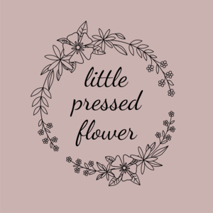 Pressed Flowers  History and Tutorial - Western Reserve Historical Society