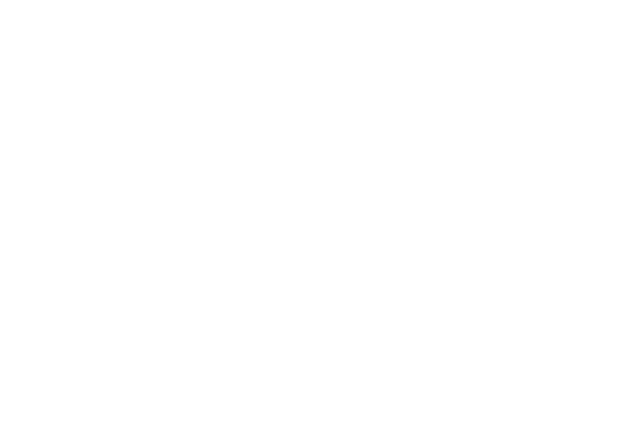 Americas Credit Unions Logo