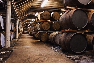 Tequila aging in French oak barrels