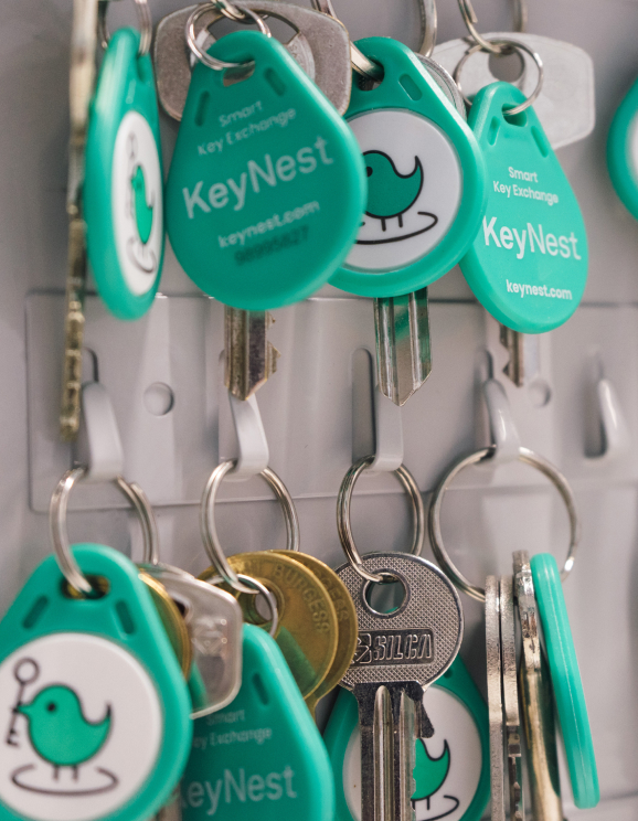 KeyNest keys hanging on hooks