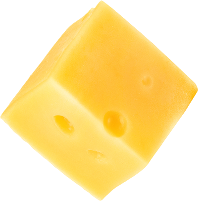 cheese block for cheesebuddy
